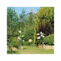 Black Garden Arch O9114