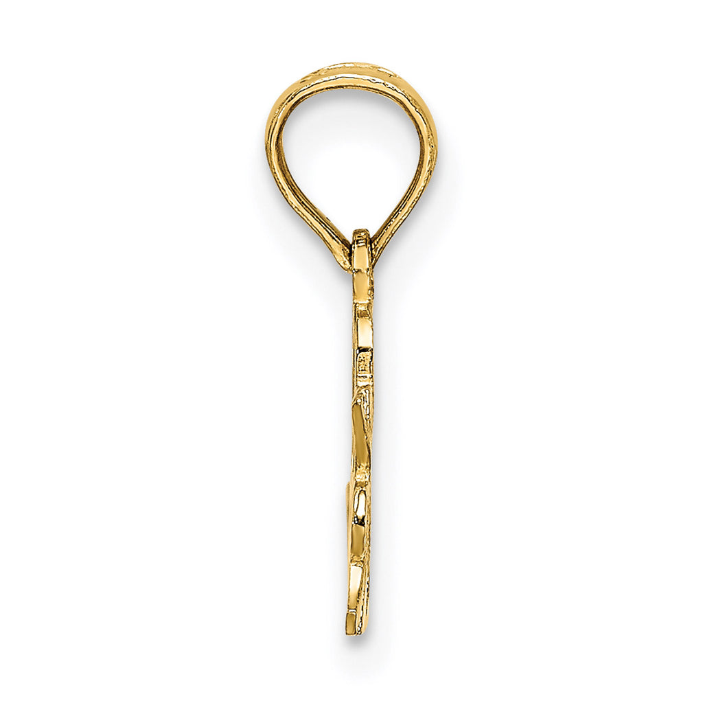 10K Yellow Gold Pendant Charm with 14K Yellow Gold Rope Chain Necklace 16'' X587
