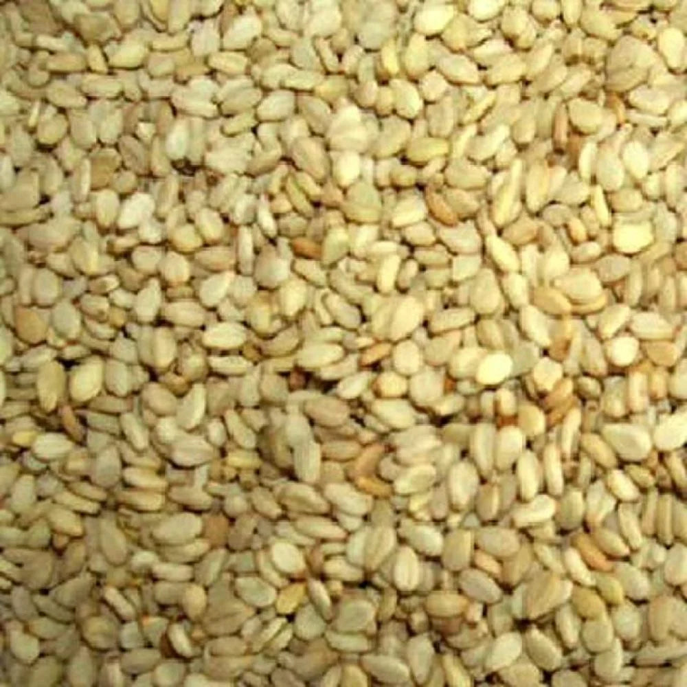 Organic Sunflower Seeds 25LB B695