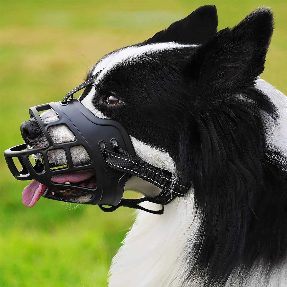 Dog Muzzle J325