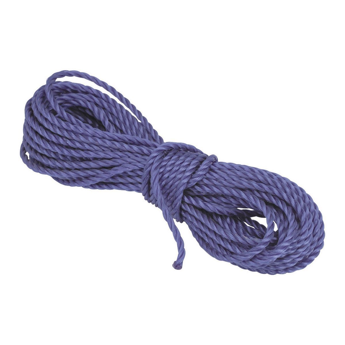 1/4 in. x 50 ft. Polypropylene Rope V888