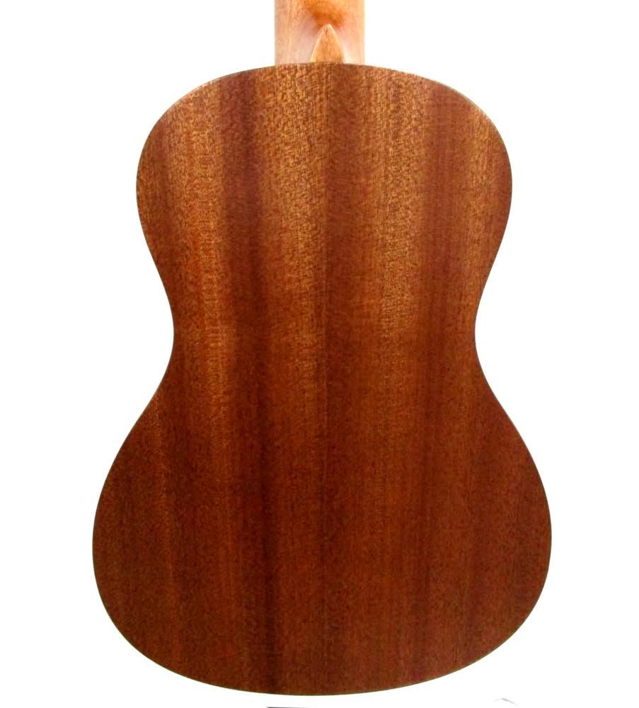Concert Ukulele Package W54187