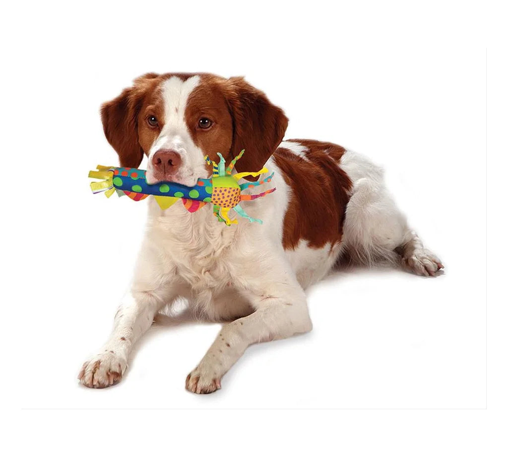 Cool Teething Stick Dog Toy V89626