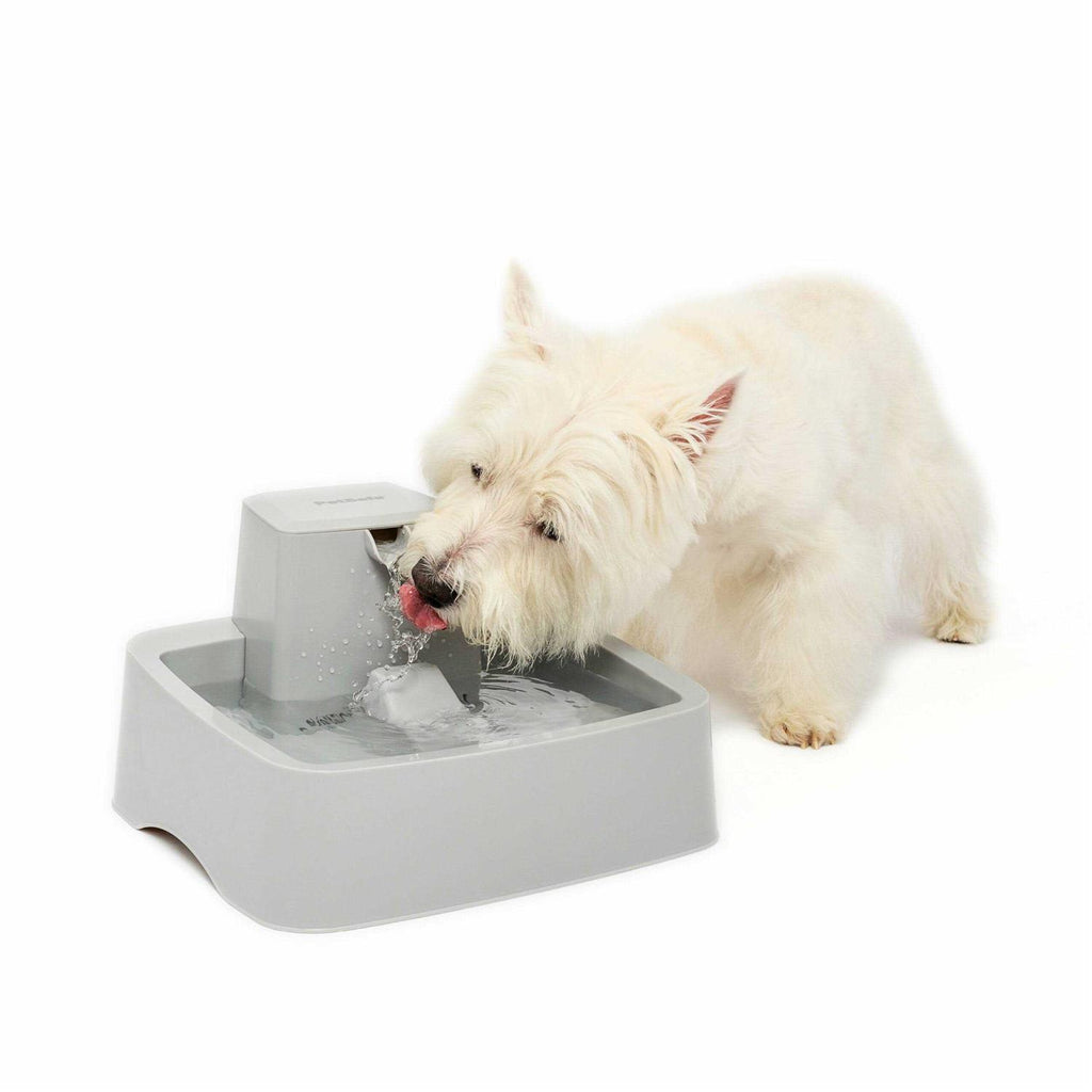 1 Gallon Pet Fountain Y6241