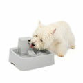 1 Gallon Pet Fountain Y6241
