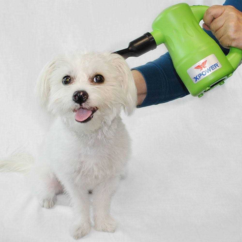 Multipurpose Pet Dryer V588