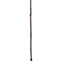 41 inch Iron Bamboo Walking Stick L31834
