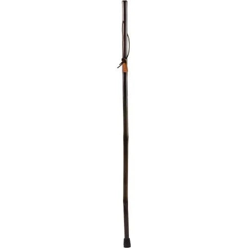 41 inch Iron Bamboo Walking Stick L31834