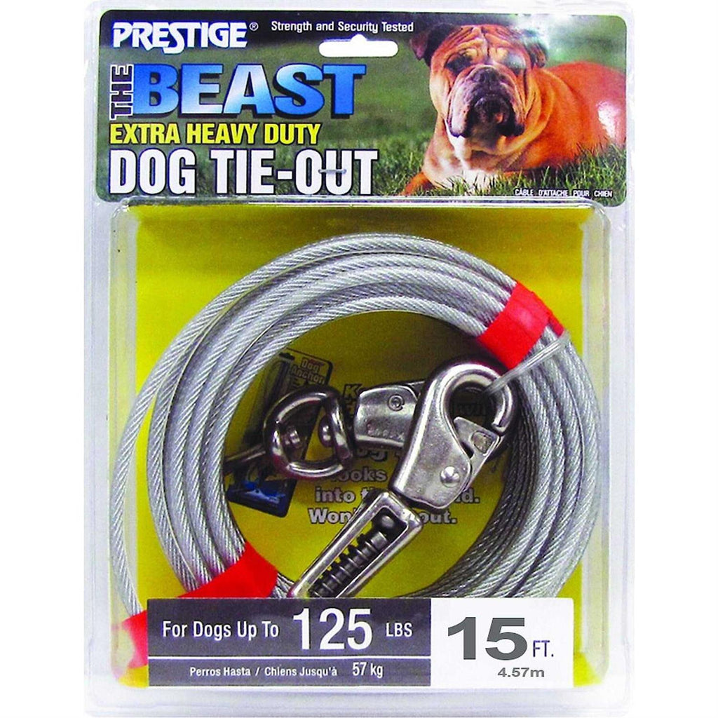 15ft XL Dog Tie-Out with Spring T427201