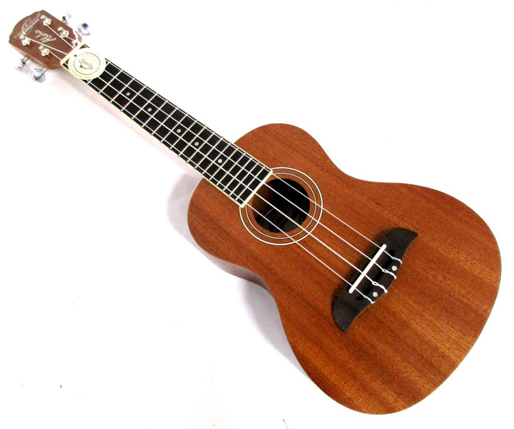 Concert Ukulele Package W54187