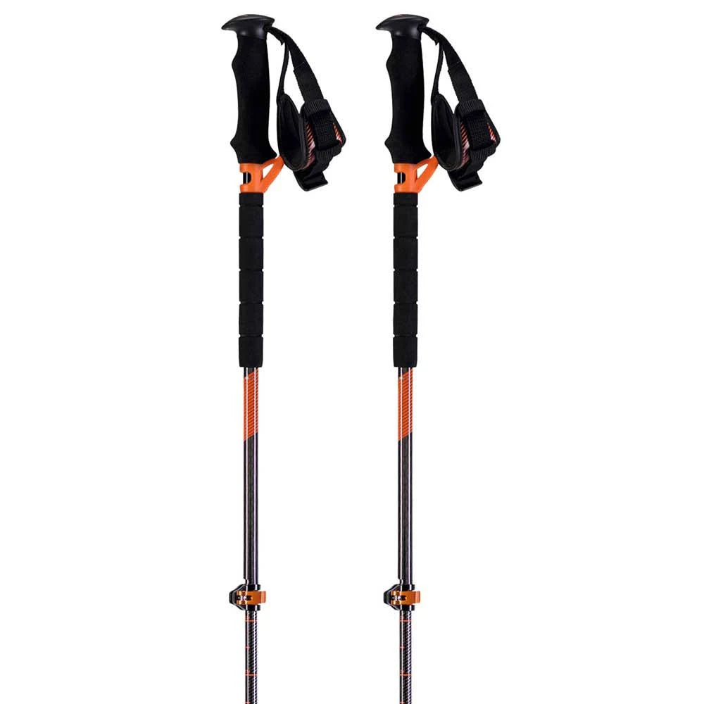 Ski Poles E53732