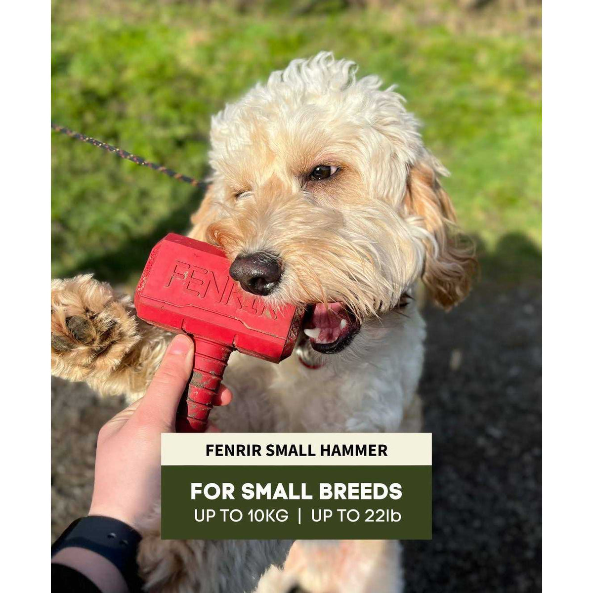 Hammer Chew Toy C65117