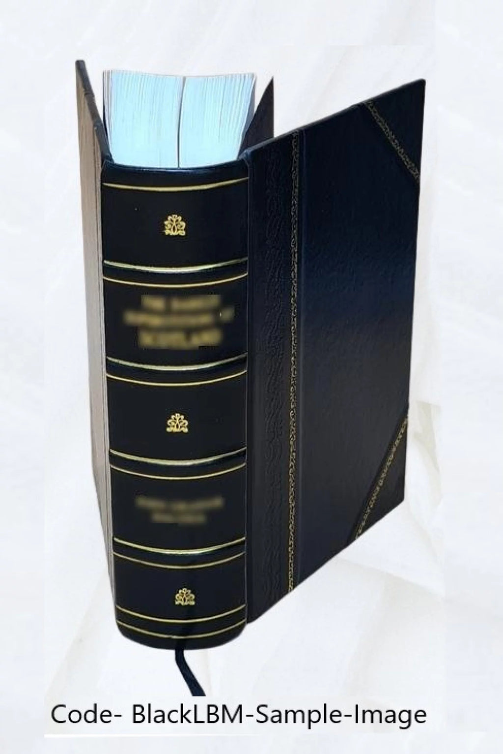 Leather Bound Furniture and furnishings R185266