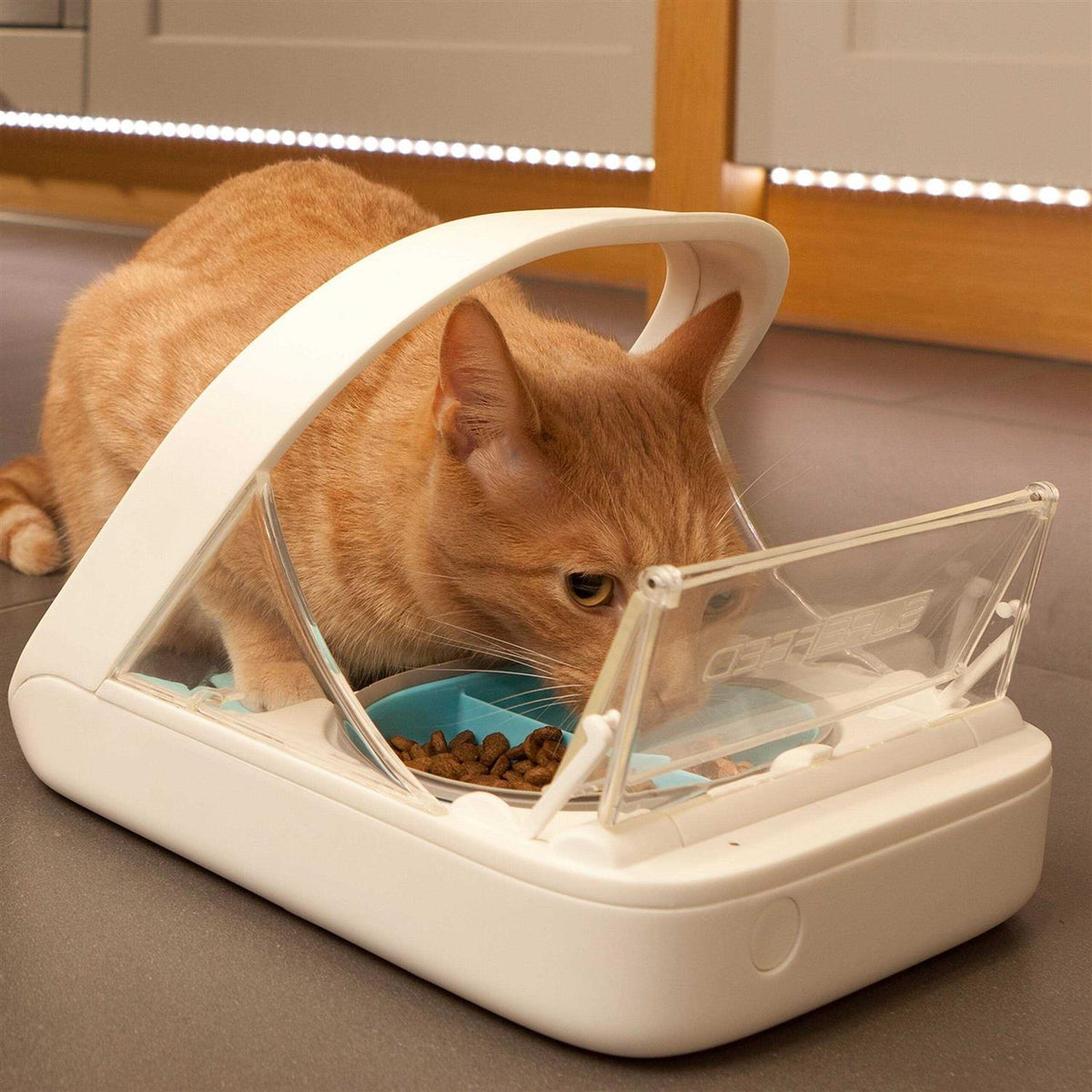 Microchip Pet Feeder M214645