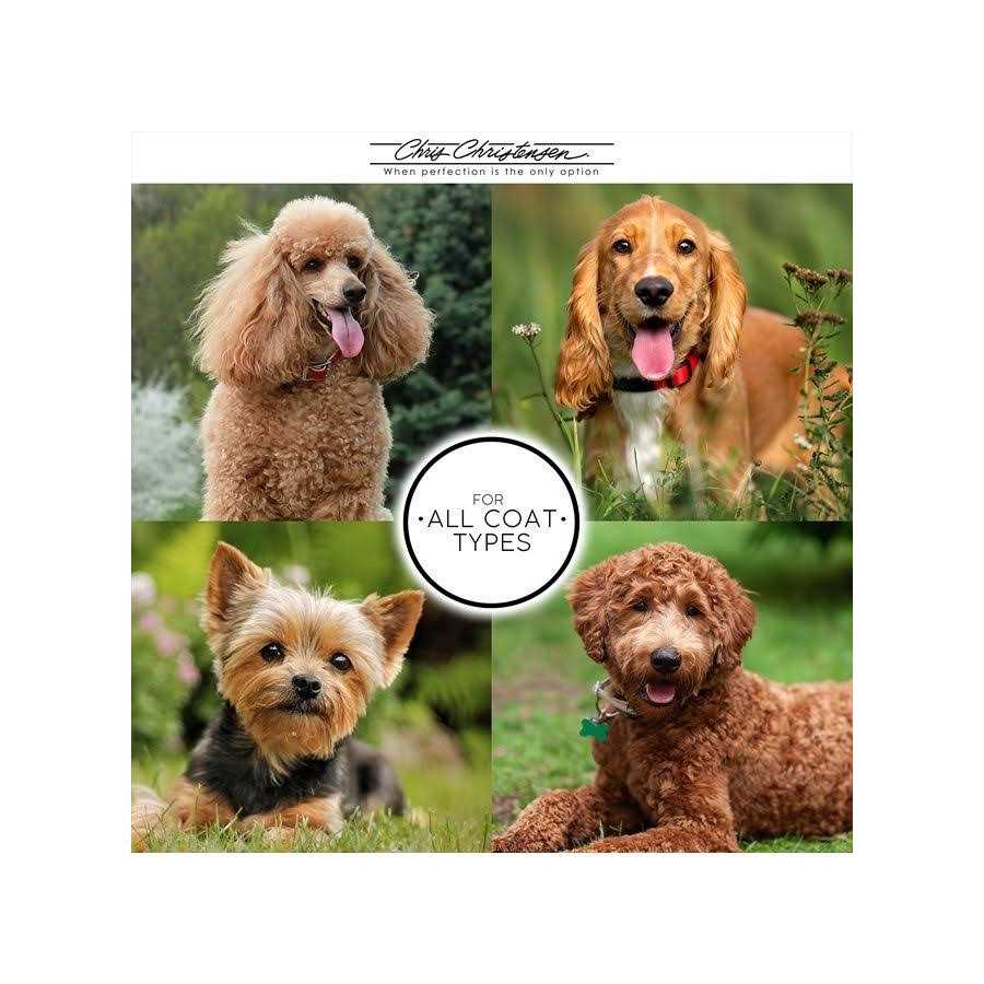 Big Slicker Pet Supplies L616