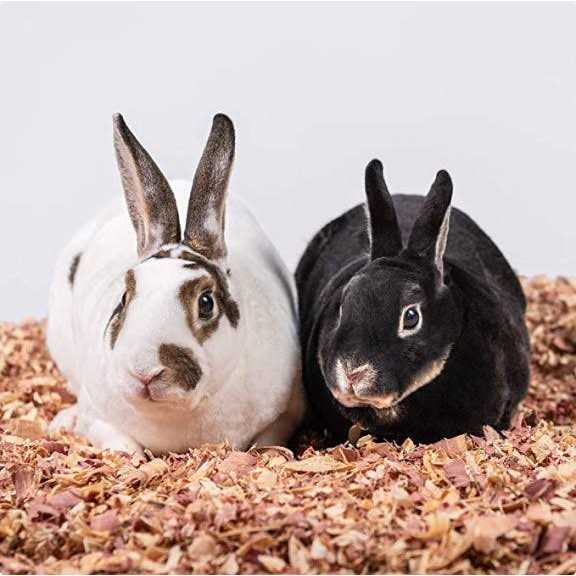 Kiln Dried Red Cedar Bedding U34060