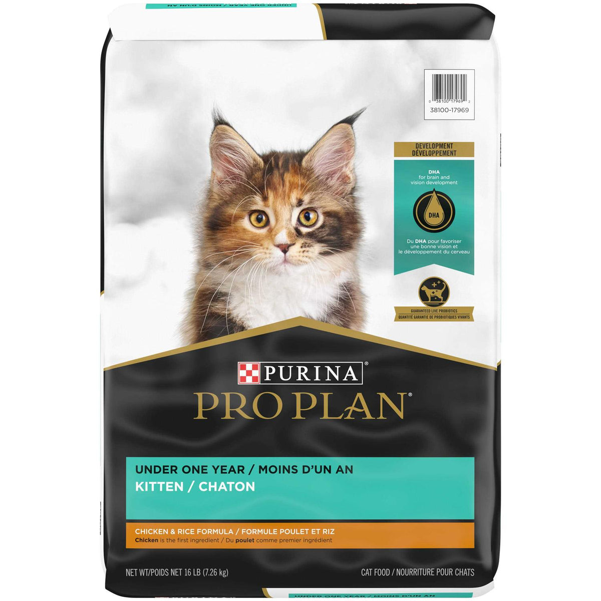 Kitten Dry Food X33173