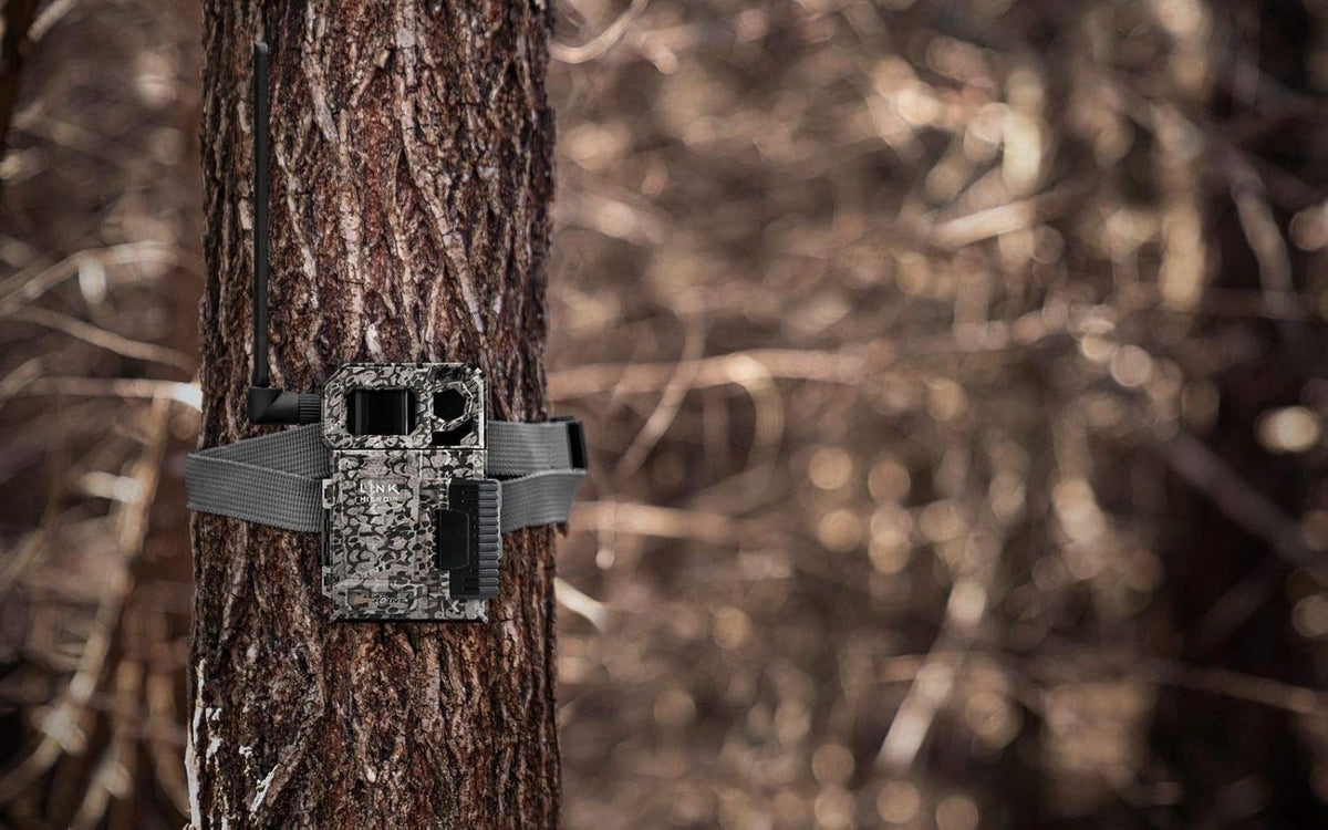 Cellular Trail Camera with Card Reader F536044