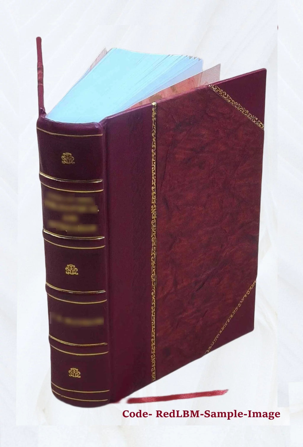 Leather Bound Furniture and furnishings R185266